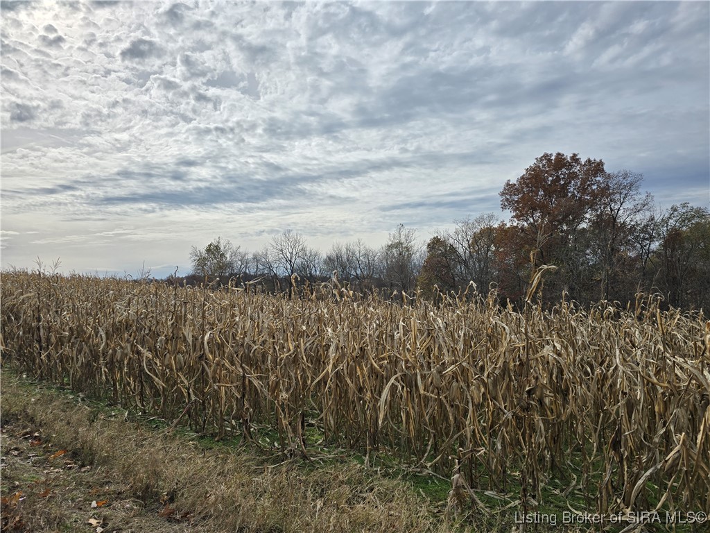 North Side W Cox Ferry Road Campbellsburg, IN 47108 - Photo 28 of 28