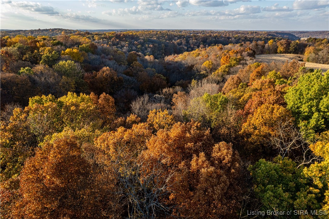 North Side W Cox Ferry Road Campbellsburg, IN 47108 - Photo 4 of 28
