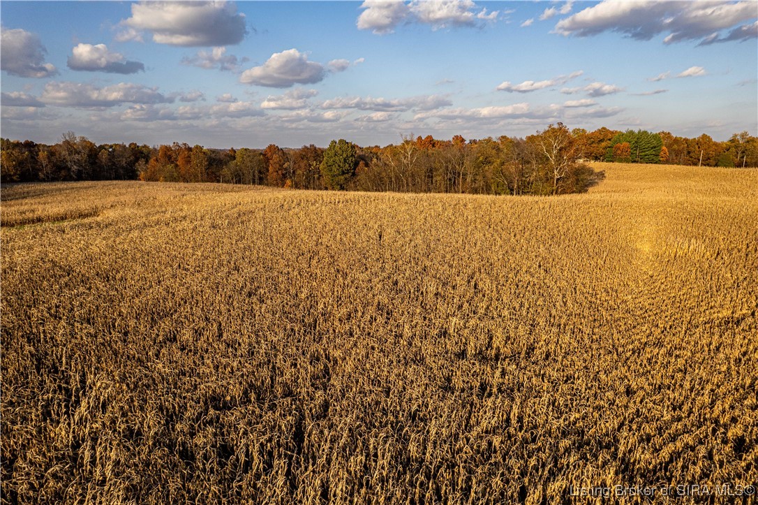 North Side W Cox Ferry Road Campbellsburg, IN 47108 - Photo 6 of 28