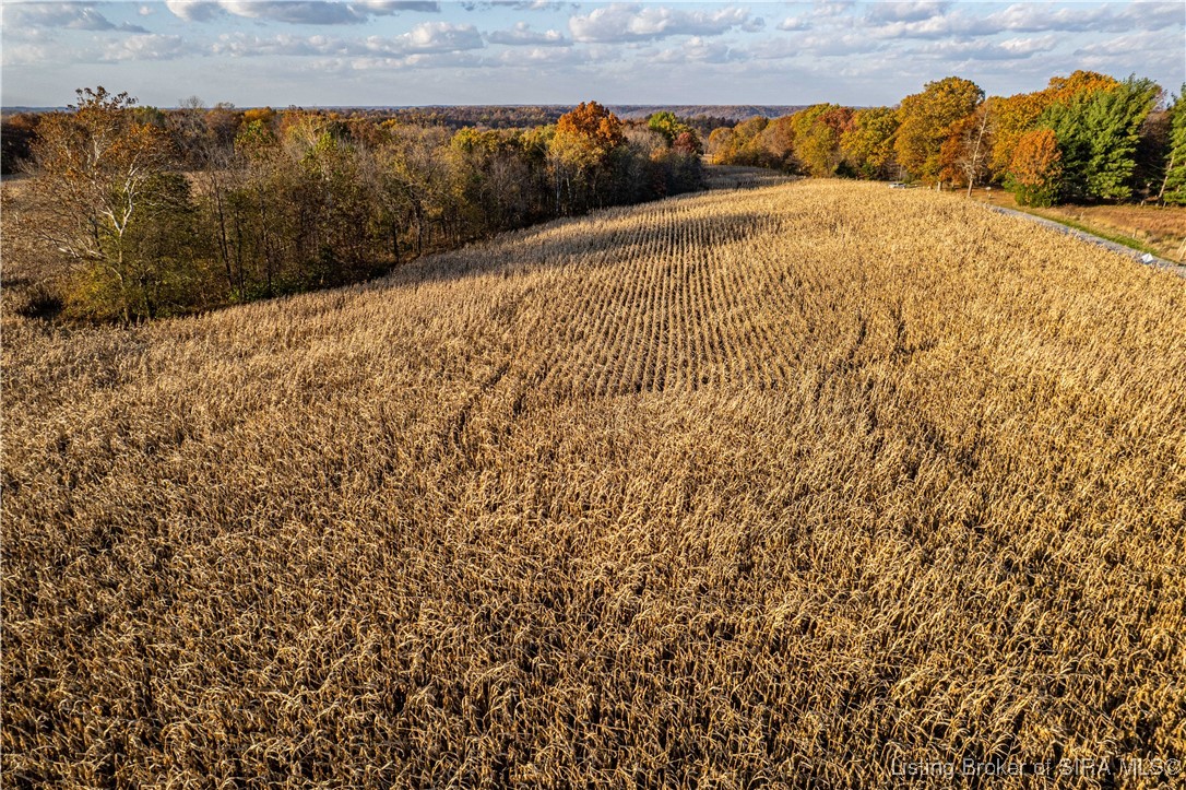 North Side W Cox Ferry Road Campbellsburg, IN 47108 - Photo 7 of 28