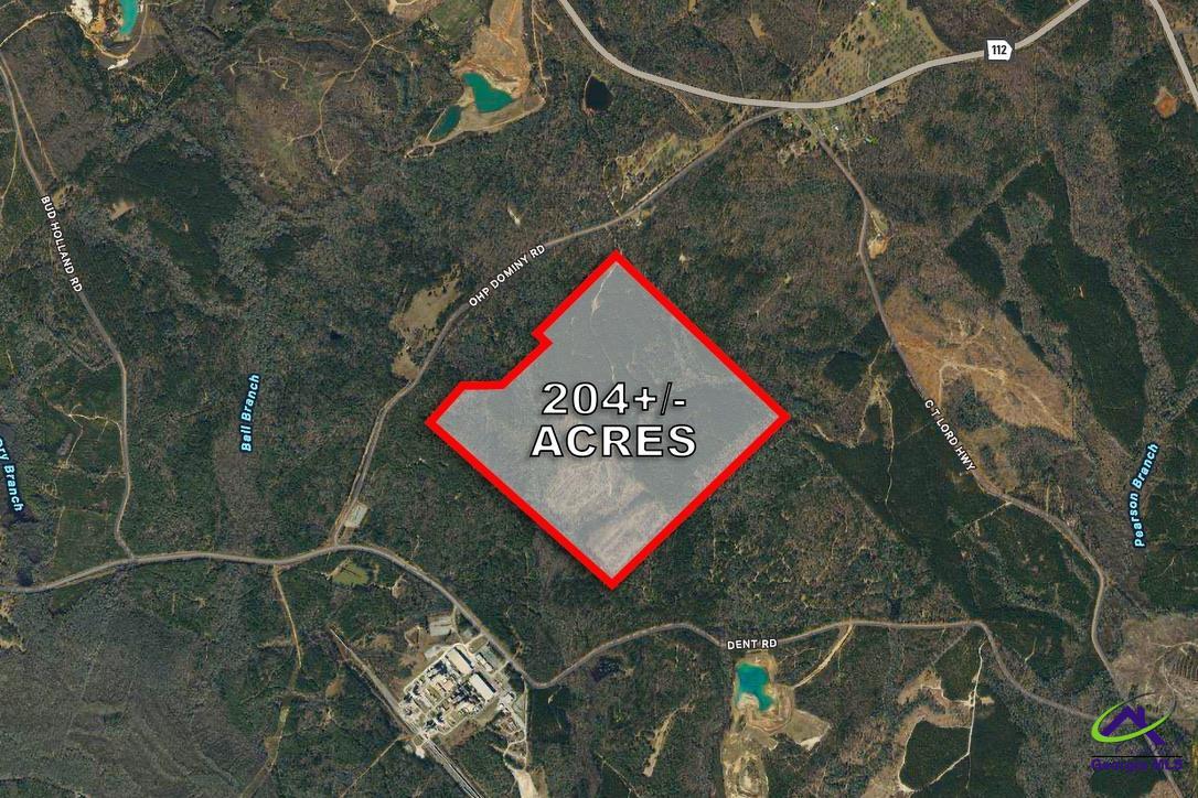 Ohp Dominy Road Toomsboro, GA 31090 - Photo 23 of 24