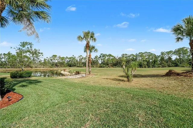 a view of a garden with a slide
