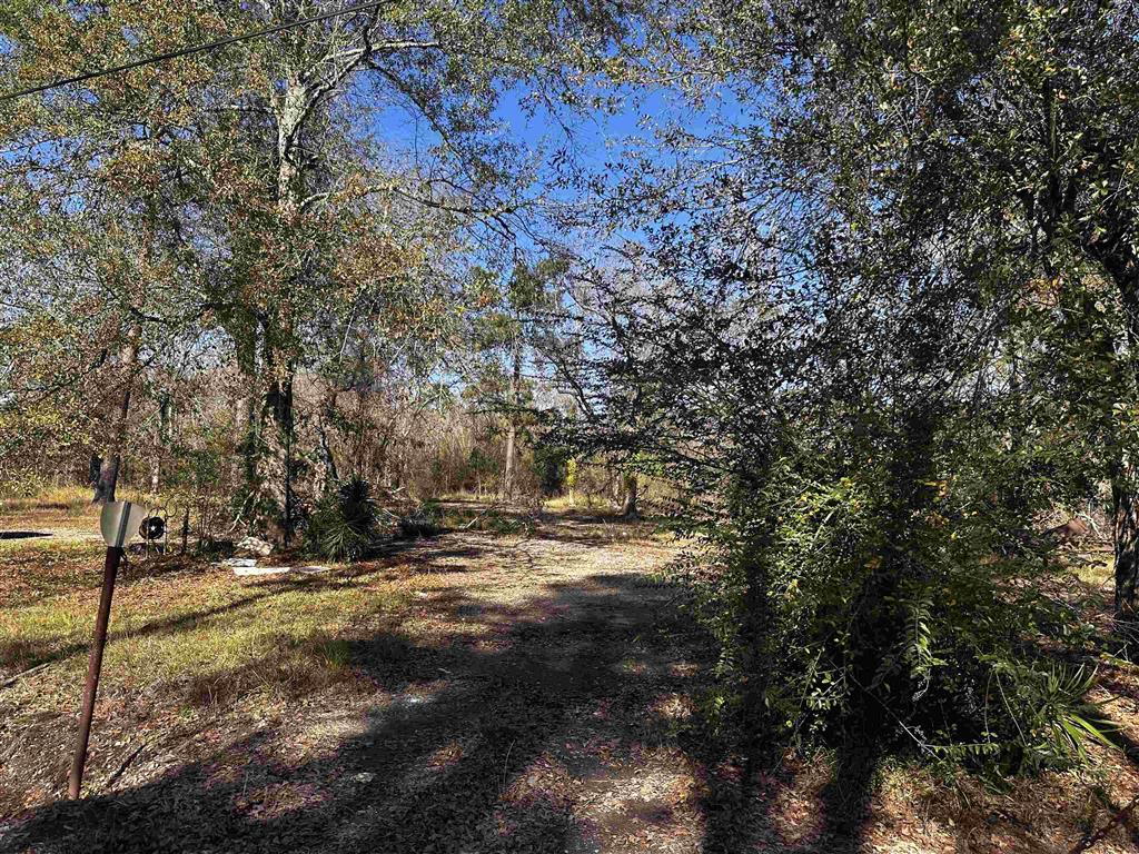 112 Angus Drive Ragley, LA 70657 - Photo 2 of 11