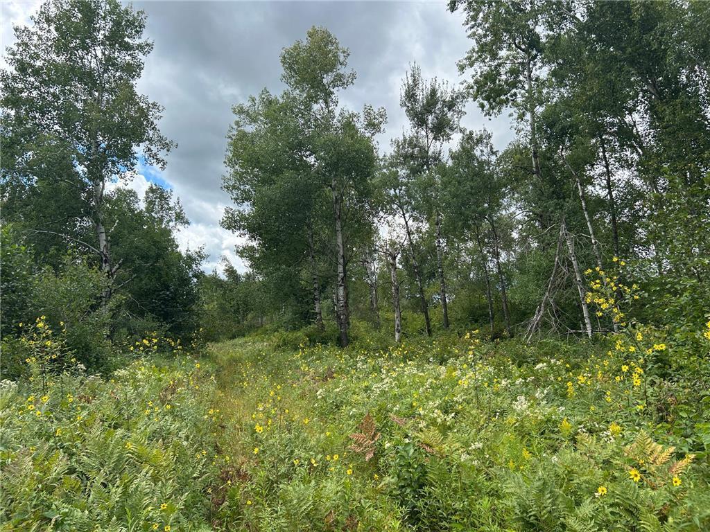 Tbd2 Duncan Road Sandstone, MN 55072 - Photo 11 of 16