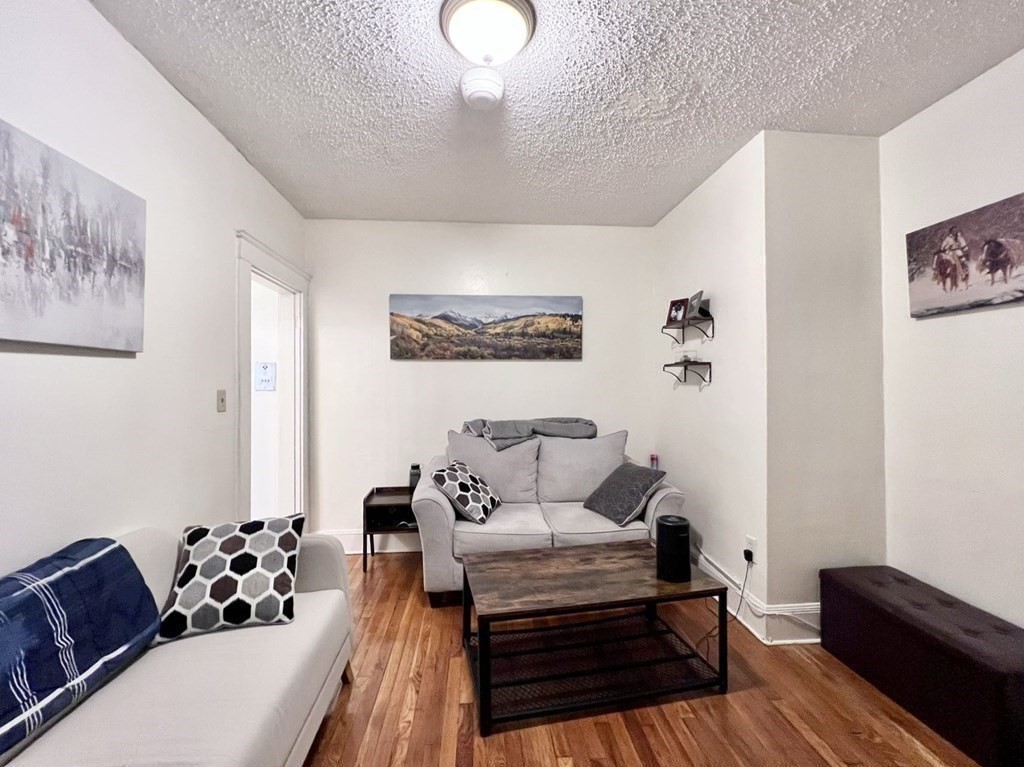 26 Chiswick Road, Unit 6 Boston, MA 02135 - Photo 24 of 31 a living room with furniture and wooden floor
