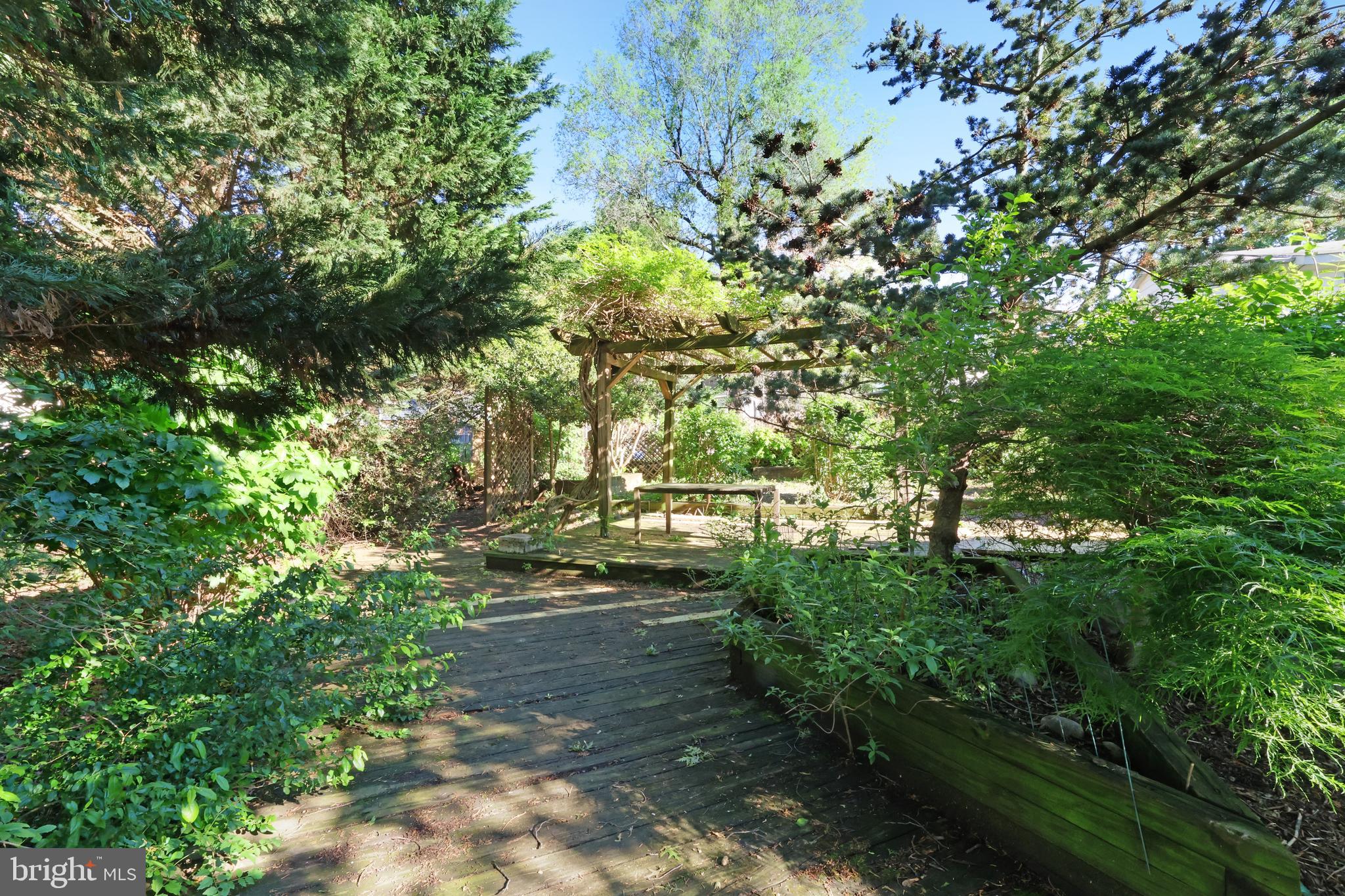 11812 Selfridge Road Silver Spring, MD 20906 - Photo 35 of 42 a view of path along with trees