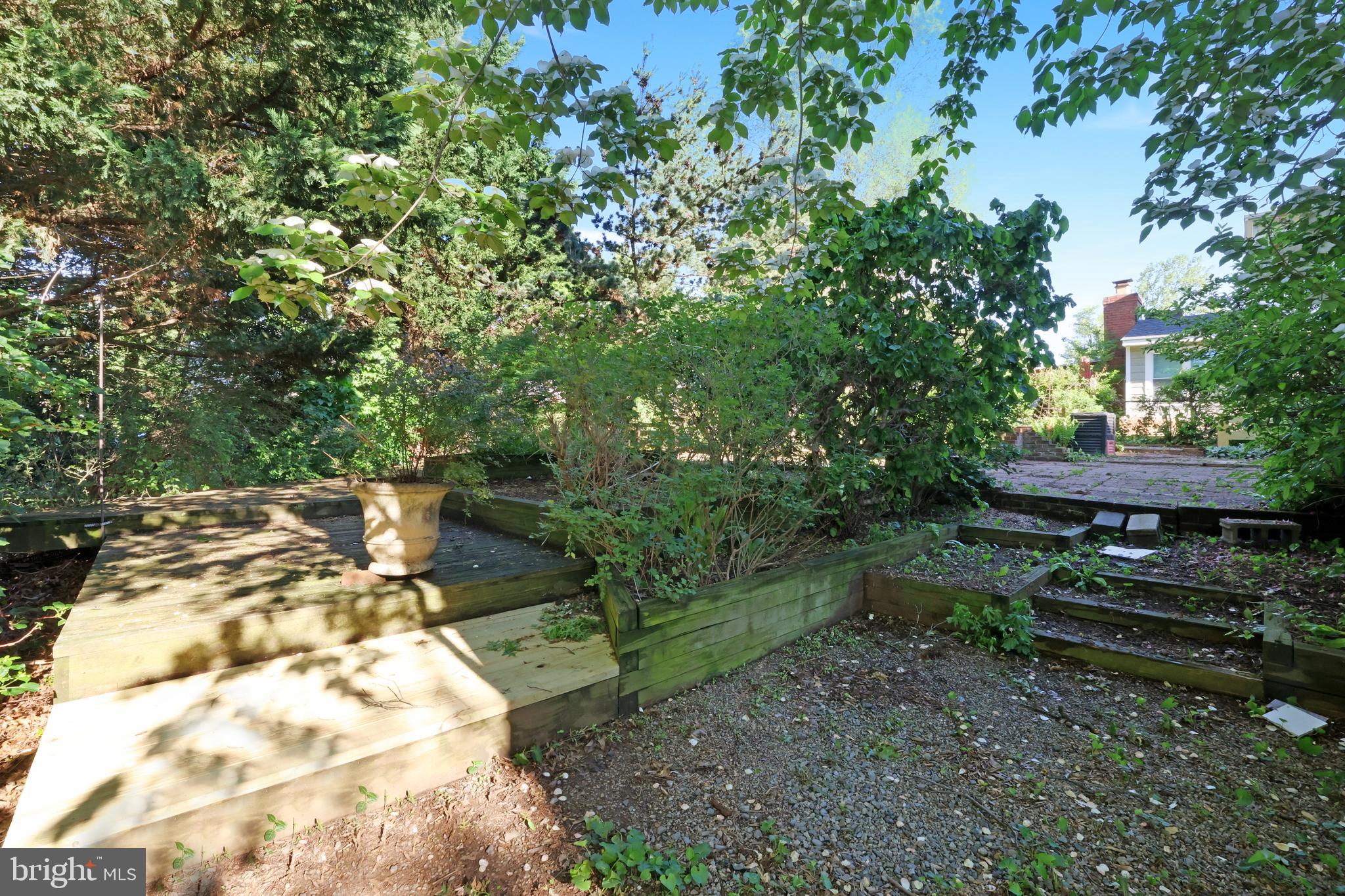 11812 Selfridge Road Silver Spring, MD 20906 - Photo 36 of 42 a view of a yard with plants and large trees