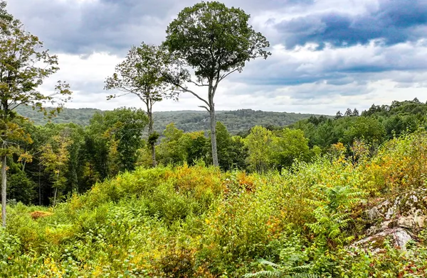 $1,175,000 | 101 Lower Church Hill Road, Washington, CT 06794