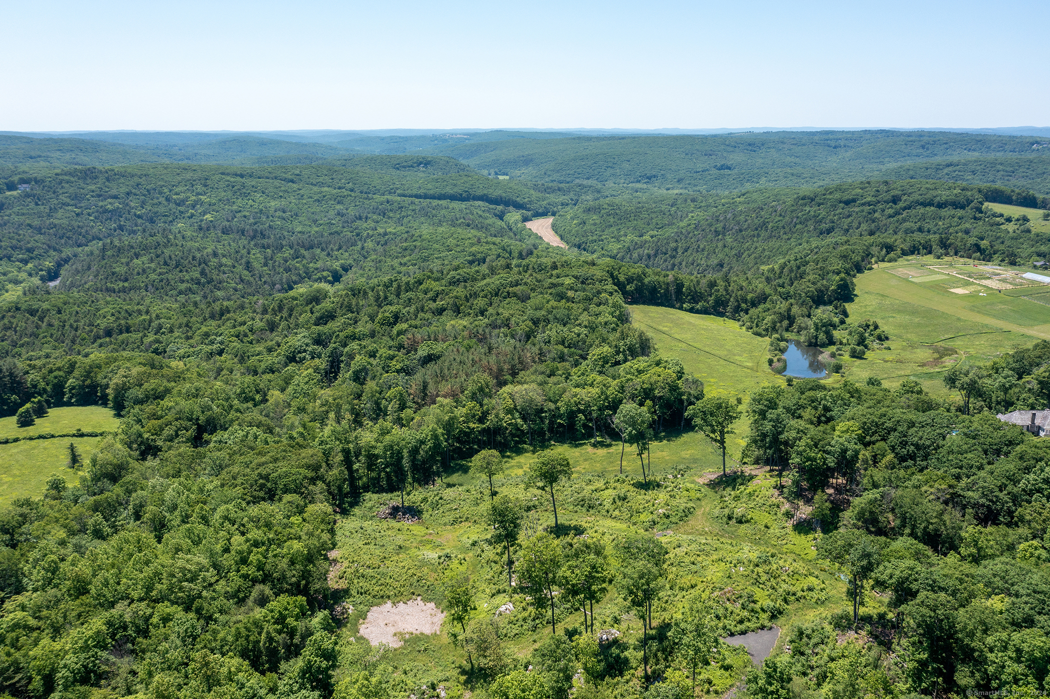 101 Lower Church Hill Road Washington, CT 06794 - Photo 3 of 6 a view of a lush green forest with trees and grass