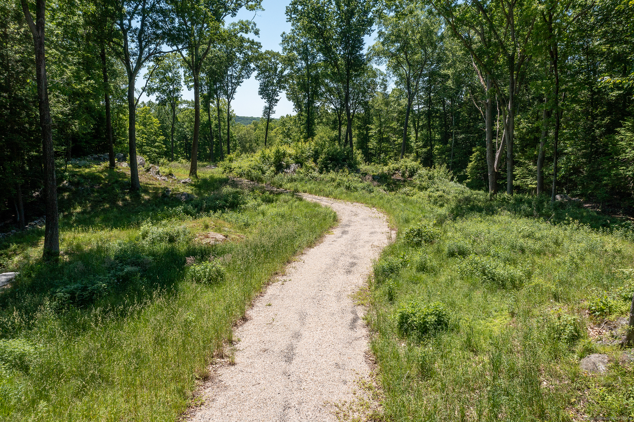 101 Lower Church Hill Road Washington, CT 06794 - Photo 6 of 6 a view of a lush green forest