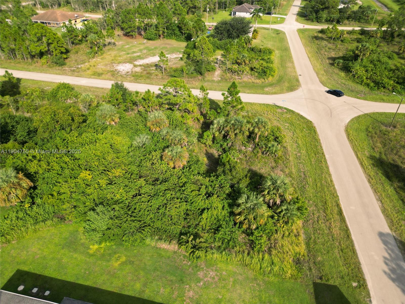 936-938 Countess Avenue Lehigh Acres, FL 33974 - Photo 9 of 24 a view of a garden