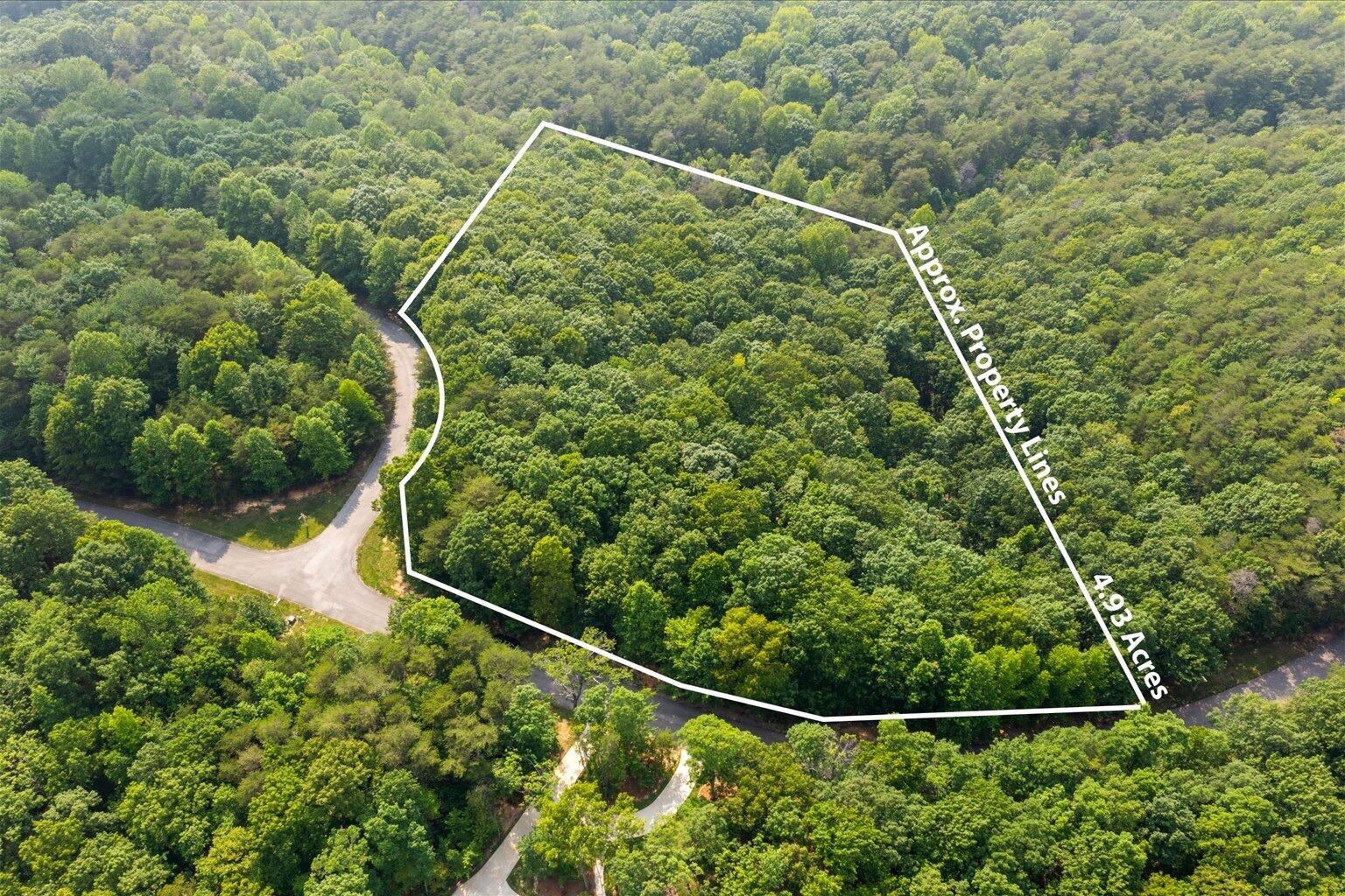 0 Shivas Crest, Unit LOT 52 Rising Fawn, GA 30738 - Photo 2 of 9 01-1