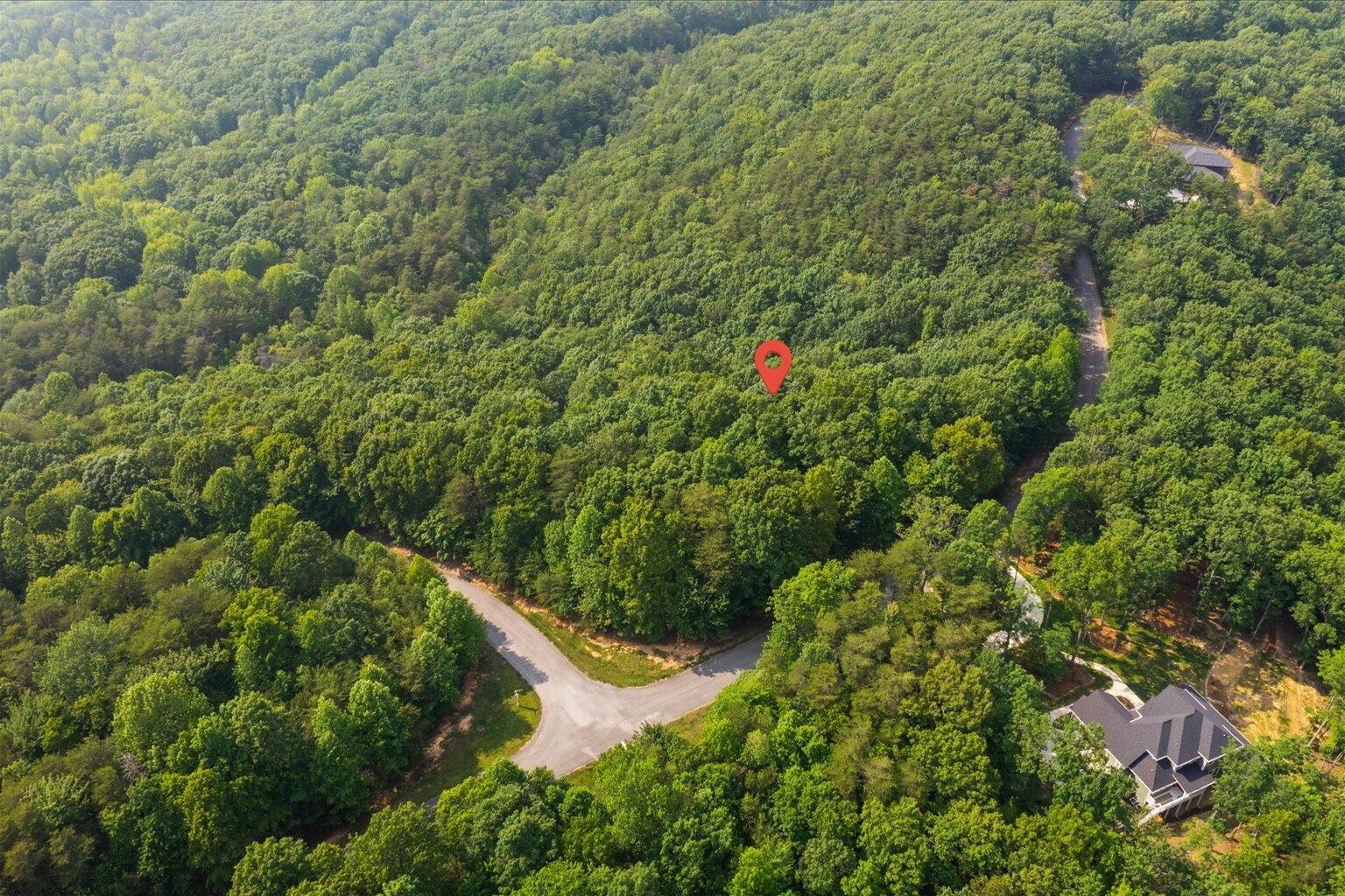 0 Shivas Crest, Unit LOT 52 Rising Fawn, GA 30738 - Photo 3 of 9 02-2