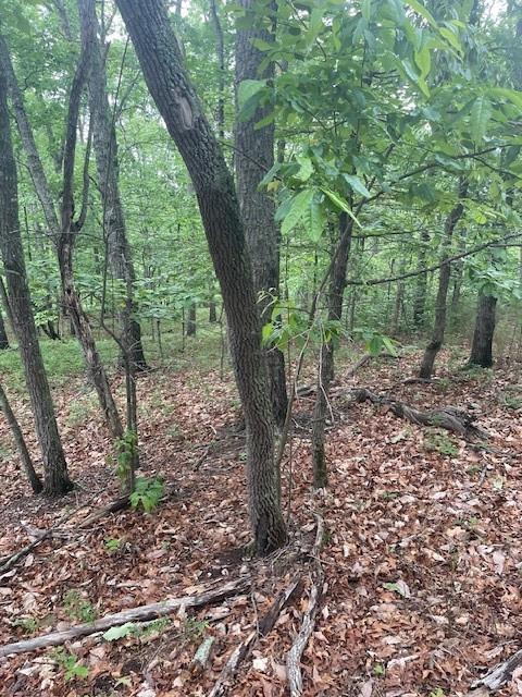 356 Orieole Court Ranger, GA 30734 - Photo 11 of 13