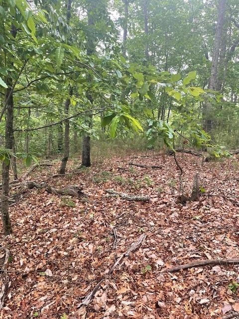 356 Orieole Court Ranger, GA 30734 - Photo 12 of 13