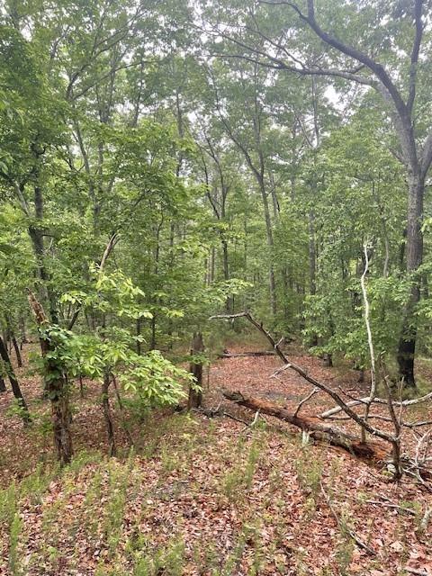 356 Orieole Court Ranger, GA 30734 - Photo 2 of 13