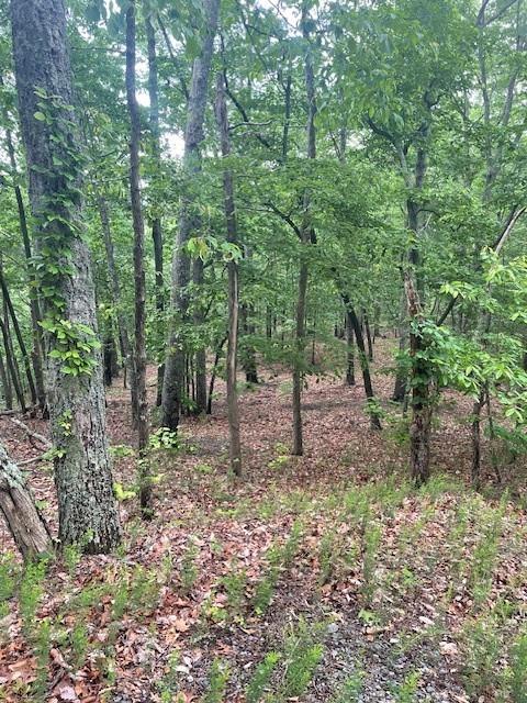 356 Orieole Court Ranger, GA 30734 - Photo 3 of 13