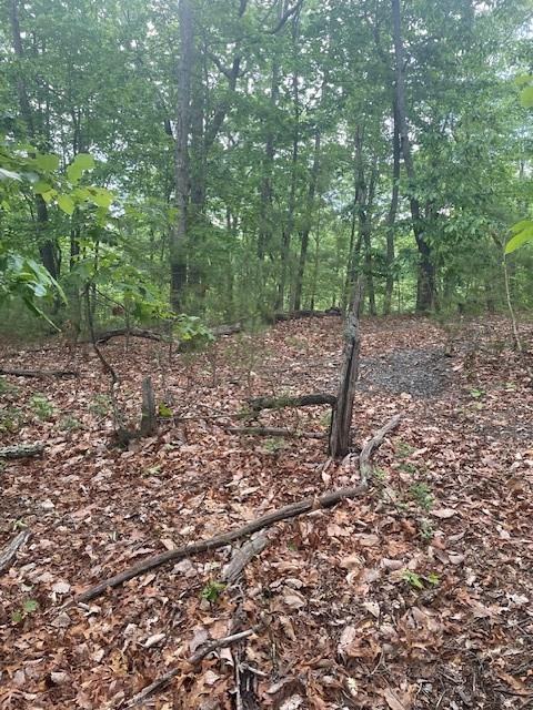 356 Orieole Court Ranger, GA 30734 - Photo 4 of 13