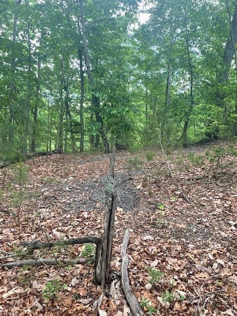 356 Orieole Court Ranger, GA 30734 - Photo 5 of 13