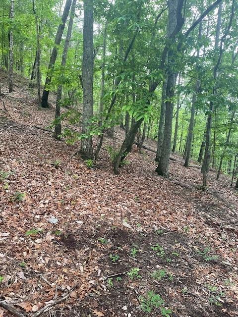 356 Orieole Court Ranger, GA 30734 - Photo 6 of 13