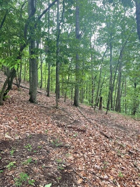 356 Orieole Court Ranger, GA 30734 - Photo 7 of 13