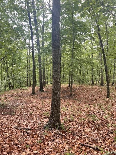 356 Orieole Court Ranger, GA 30734 - Photo 9 of 13