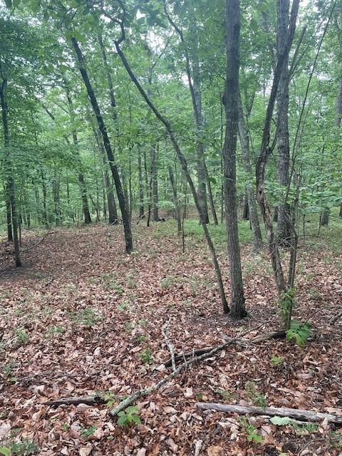 356 Orieole Court Ranger, GA 30734 - Photo 10 of 13