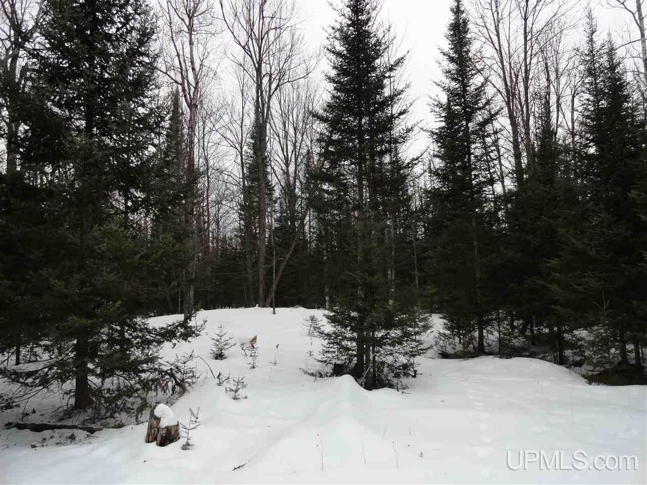 416 (23rd Road Gladstone, MI 49837 - Photo 31 of 36