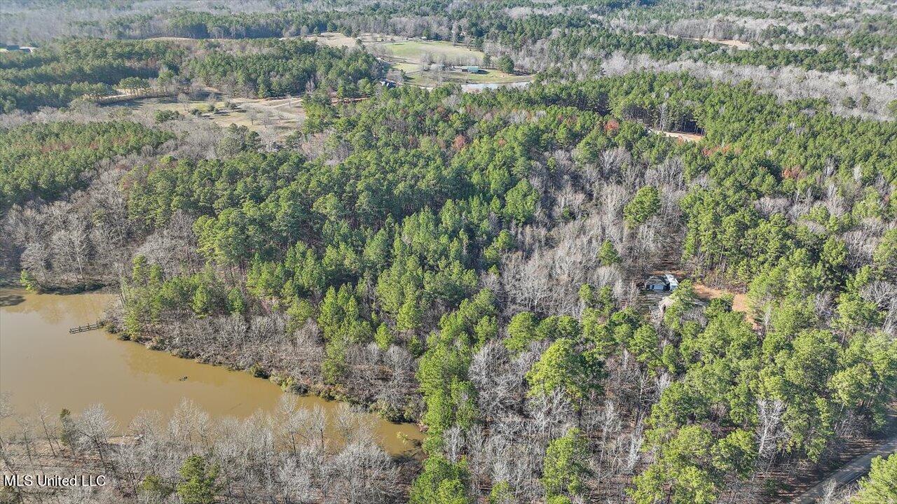 1074 Ridgeside Drive Brandon, MS 39042 - Photo 20 of 30 02-1074 Ridgeside Dr