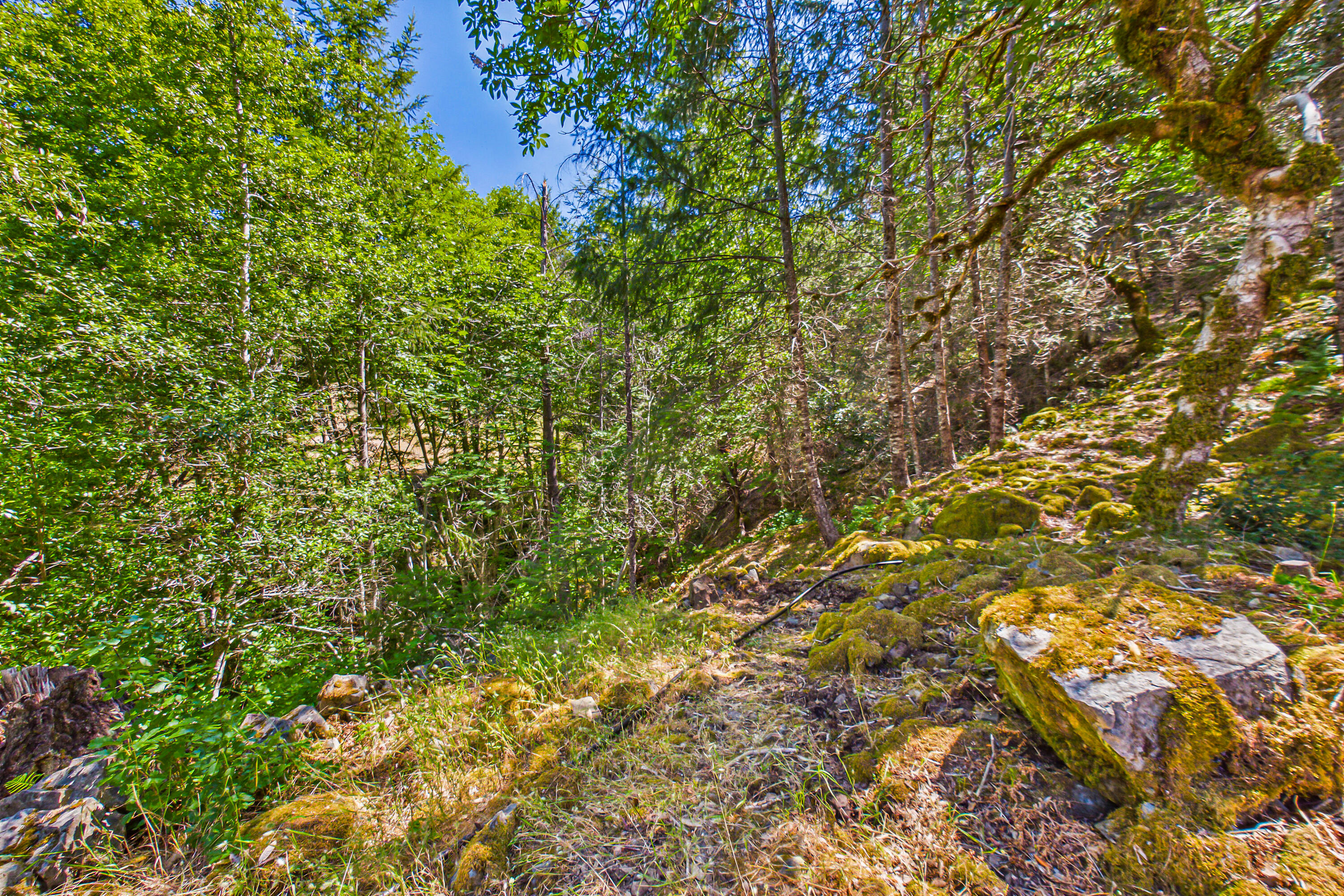 60890 Bell Springs Road Laytonville, CA 95454 - Photo 43 of 77