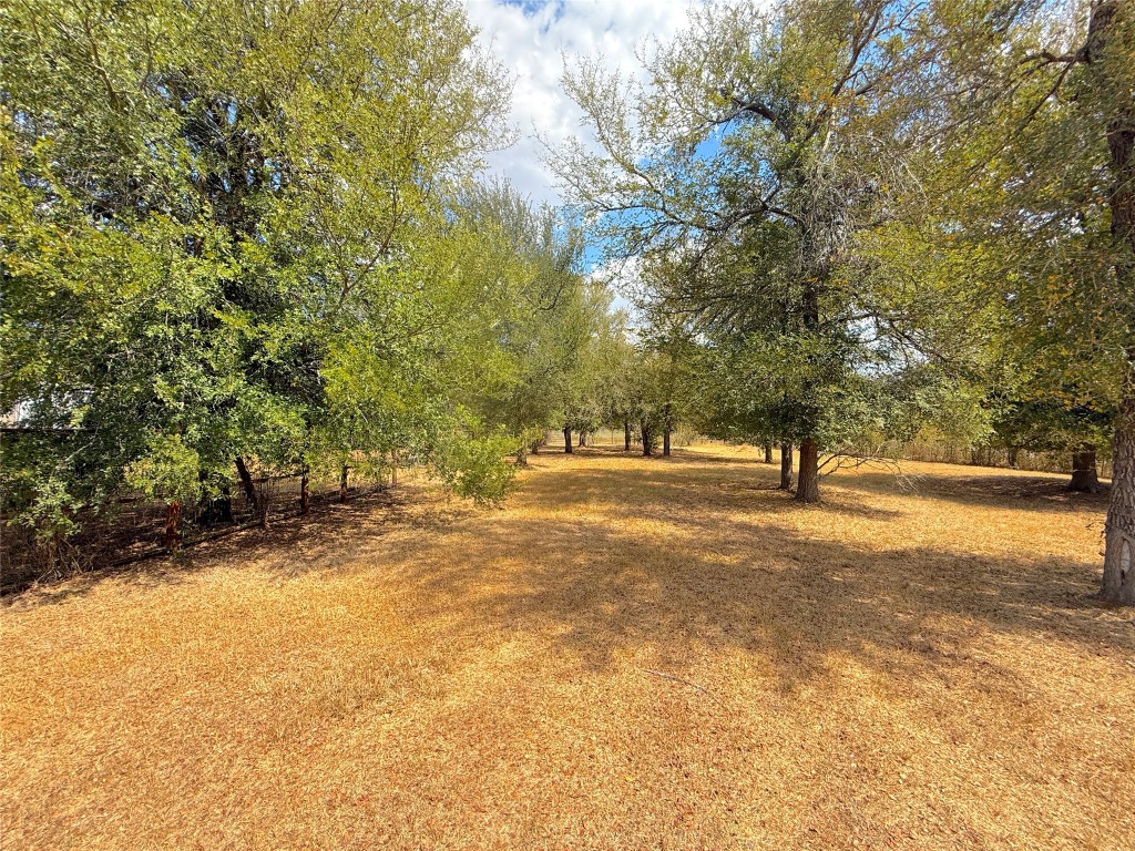 3063 County Road 484 Elgin, TX 78621 - Photo 7 of 29 a view of yard with trees