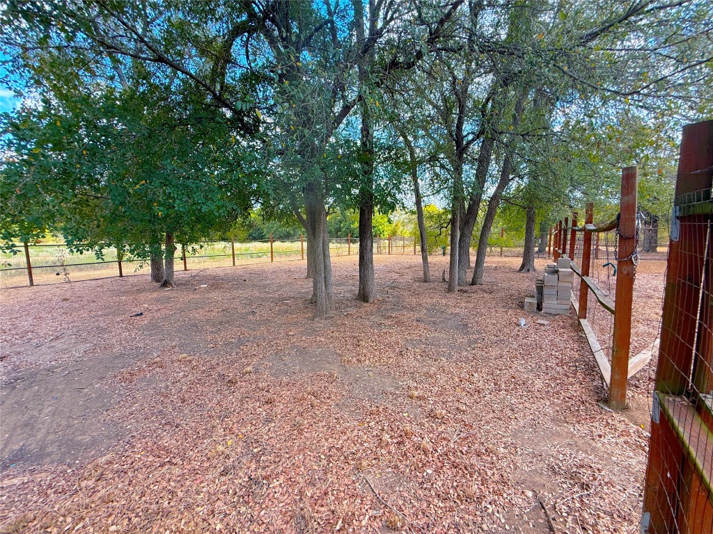 3063 County Road 484 Elgin, TX 78621 - Photo 10 of 29 a view of a yard with a tree