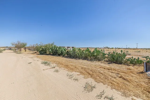 a view of a beach with a ocean view