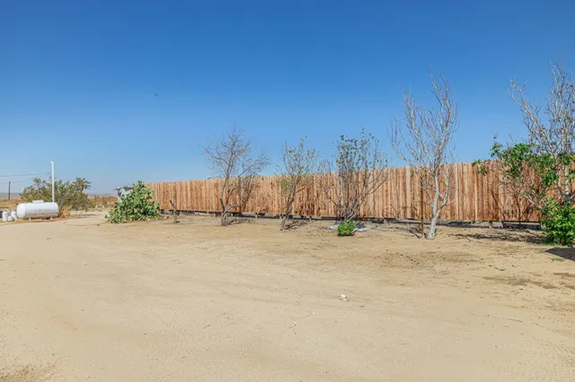 a view of a backyard