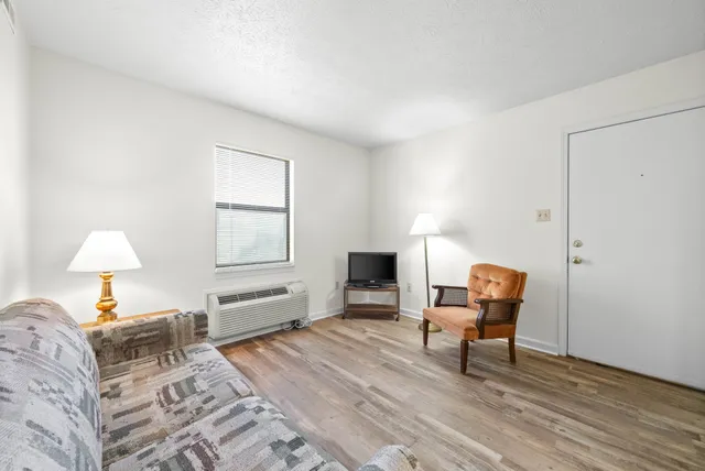 a living room with furniture and a window