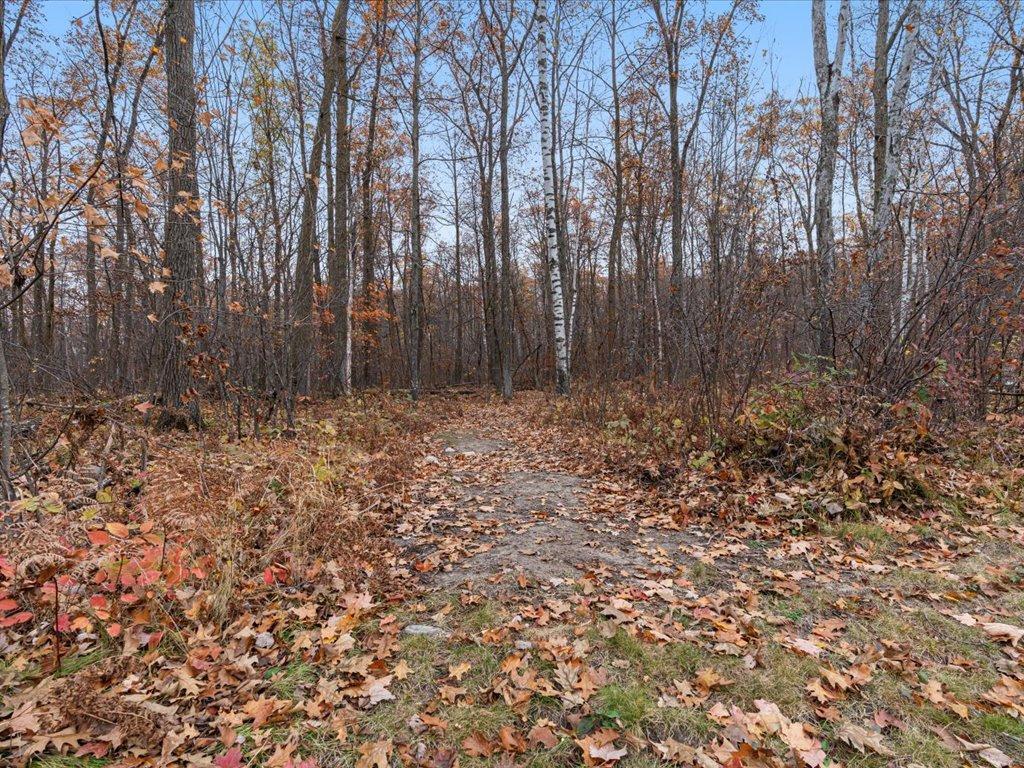 3918 44th Street Southwest Pine River, MN 56474 - Photo 30 of 53