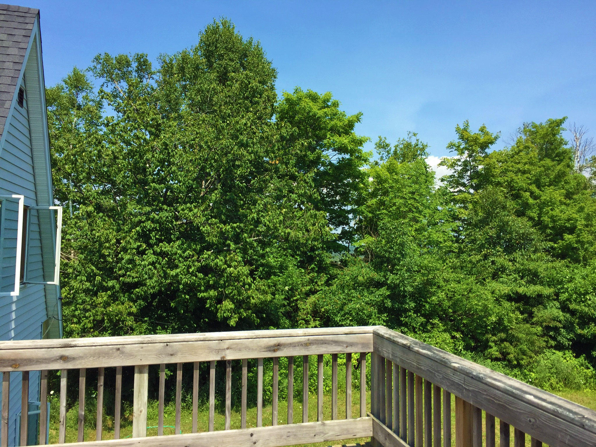 1403 Cheeseman Road St. Ignace, MI 49781 - Photo 26 of 33 Gallery Image 26