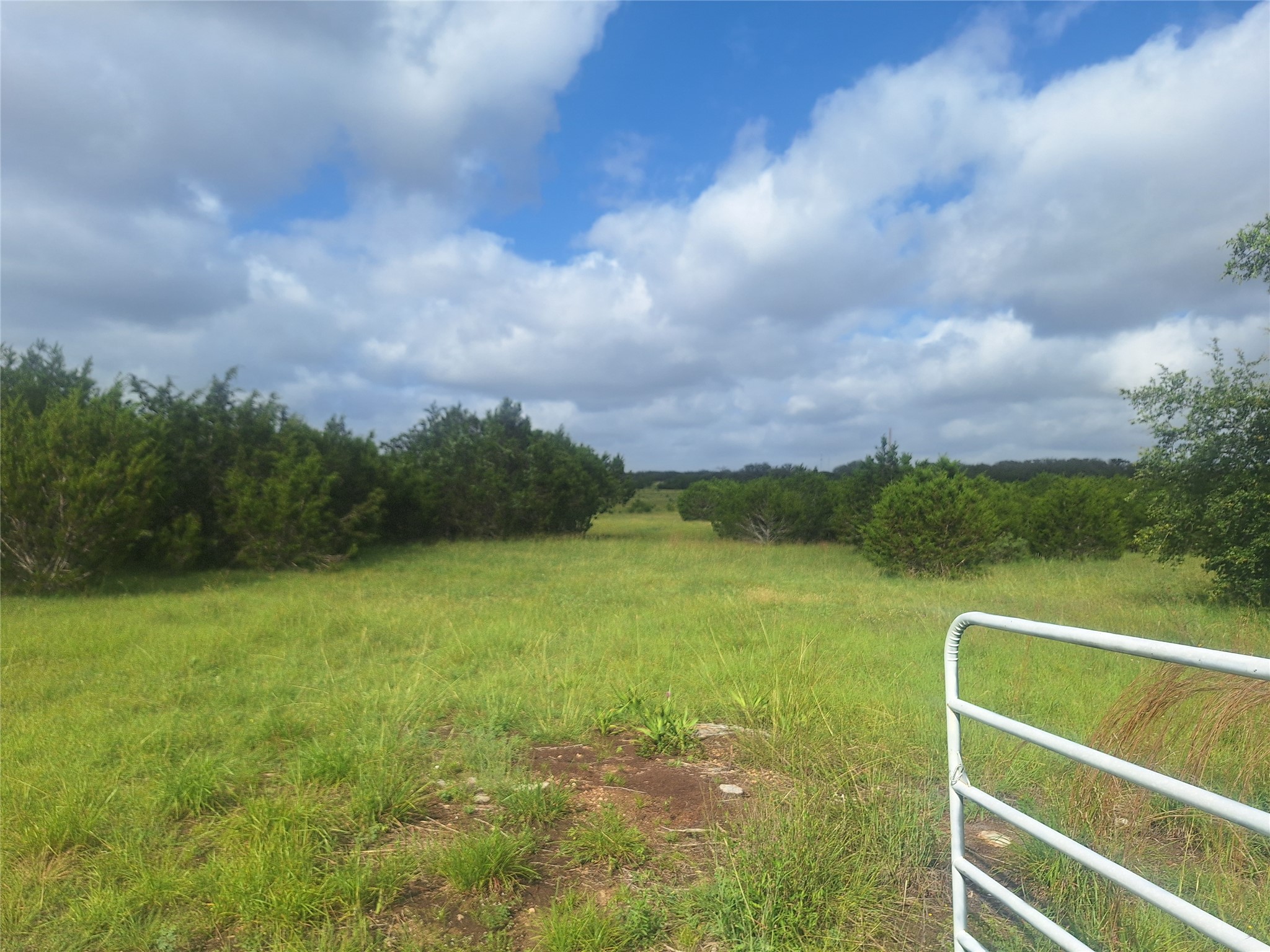 1483 County Road 281 Leander, TX 78641 - Photo 3 of 6
