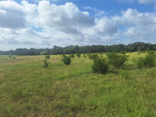 a view of a lake with houses in the back