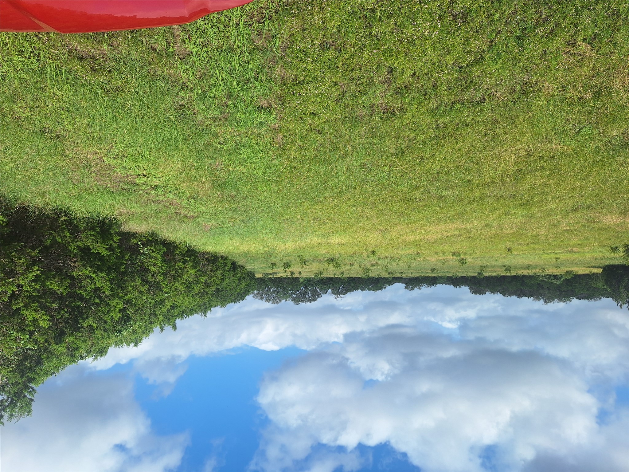 1483 County Road 281 Leander, TX 78641 - Photo 5 of 6