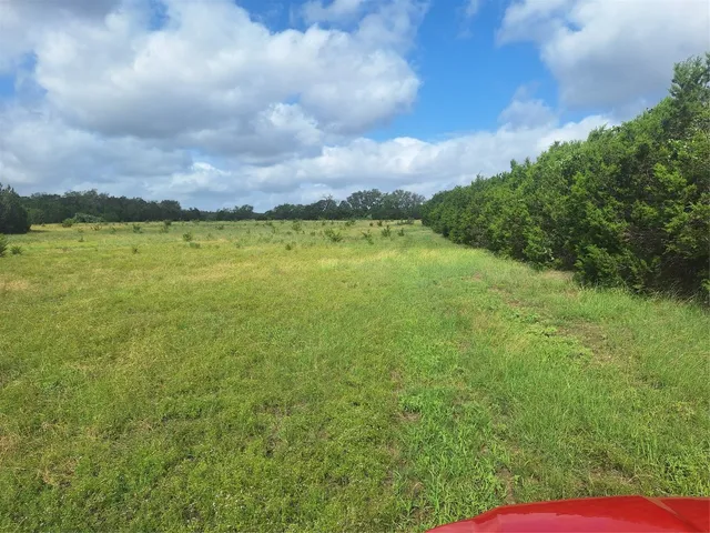 a view of an ocean from a yard