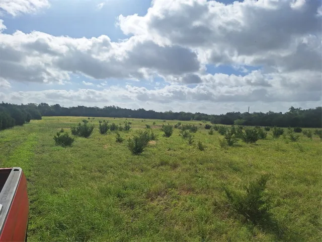 a view of a lake with houses in the back