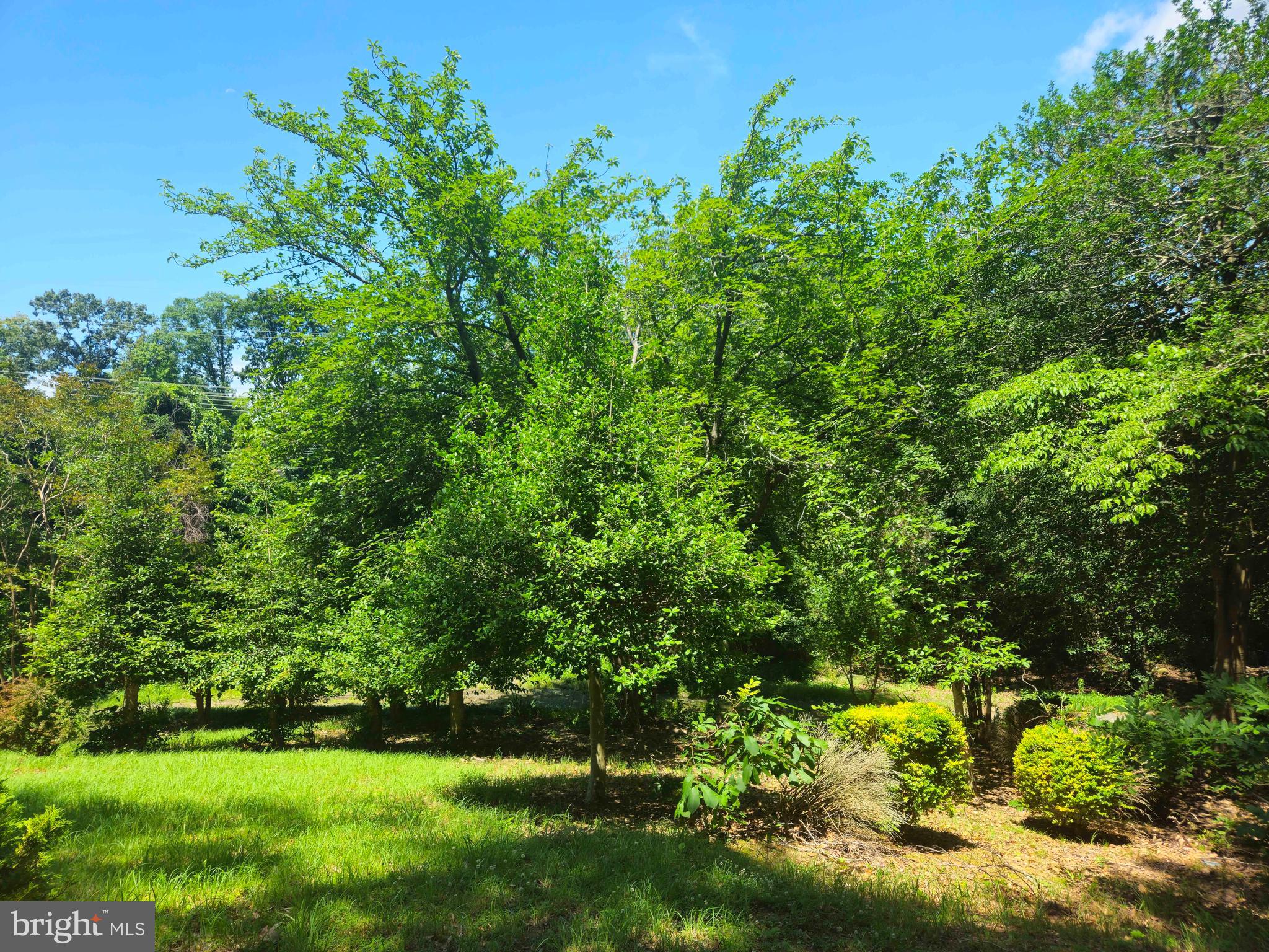 159 Olde Concord Road Stafford, VA 22554 - Photo 60 of 61