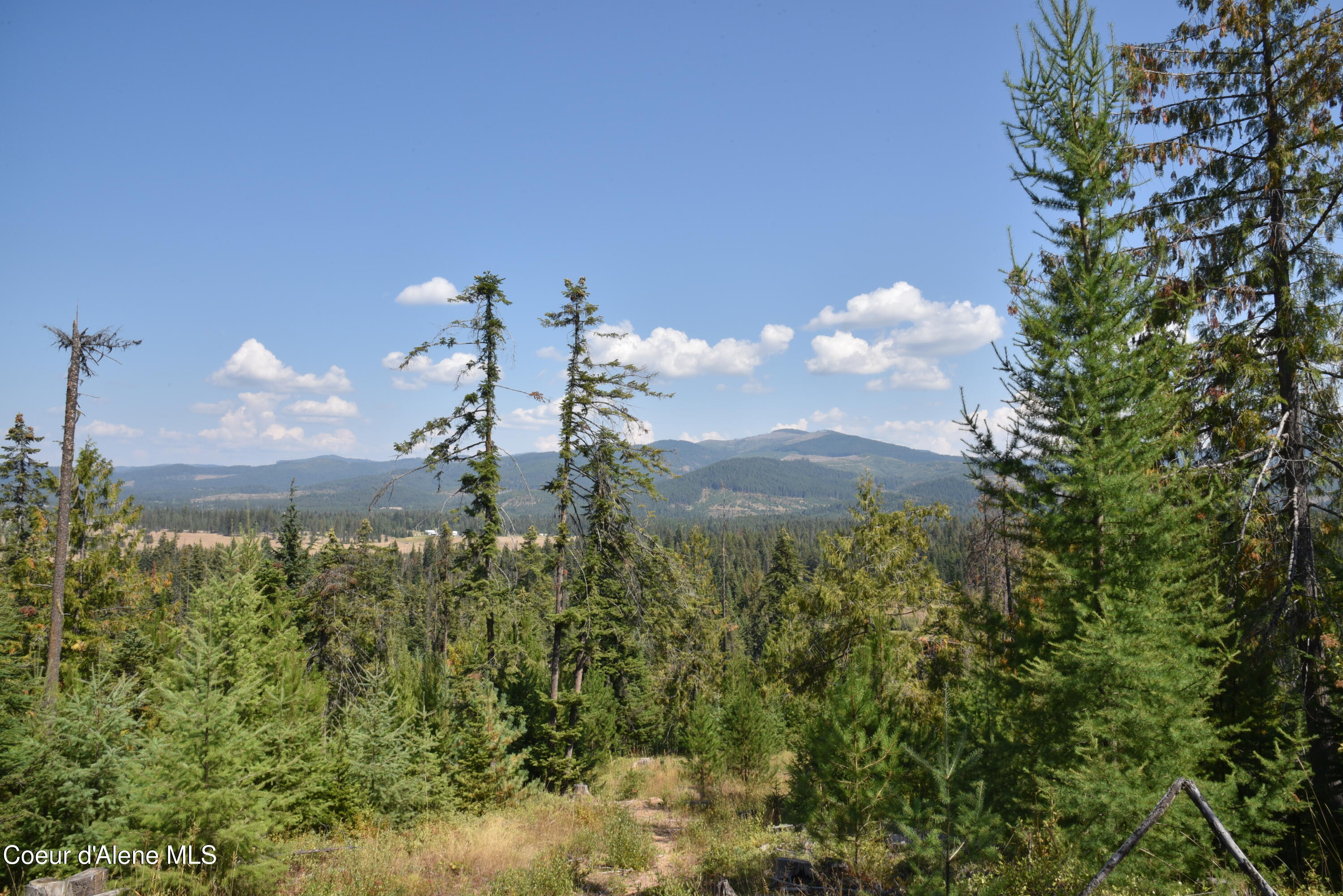 Nna Carpenter Creek Road Fernwood, ID 83830 - Photo 9 of 13 9
