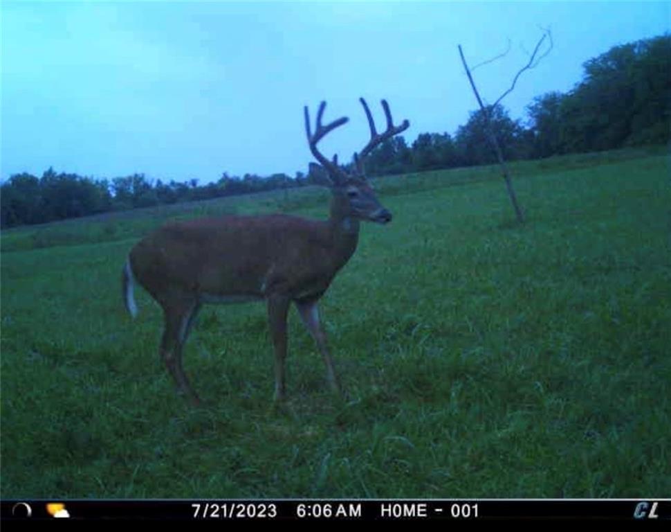 26112 State Rte D Cleveland, MO 64734 - Photo 40 of 61