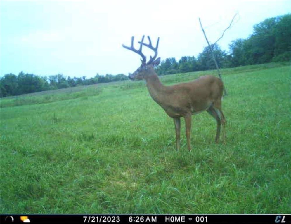 26112 State Rte D Cleveland, MO 64734 - Photo 41 of 61