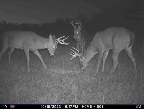 $749,000 | 26112 State Rte D, Cleveland, MO 64734