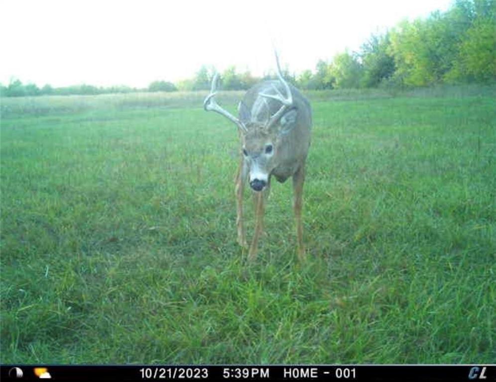 26112 State Rte D Cleveland, MO 64734 - Photo 43 of 61