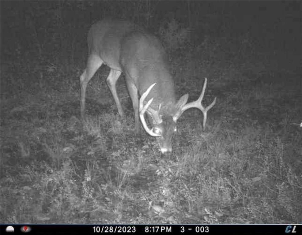 26112 State Rte D Cleveland, MO 64734 - Photo 44 of 61