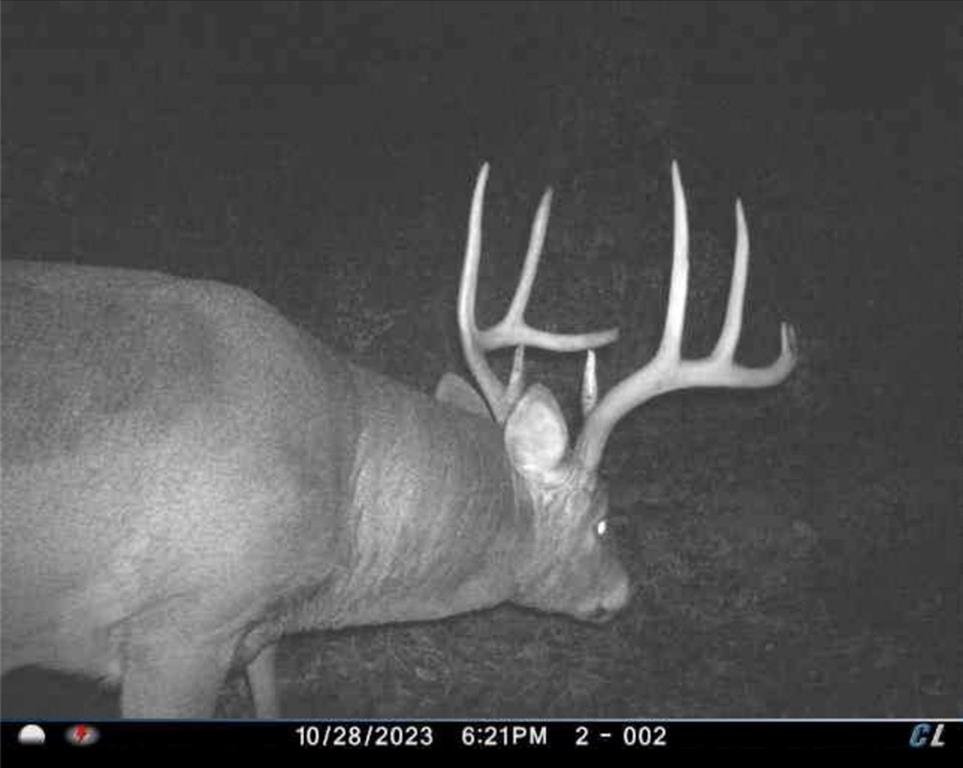 26112 State Rte D Cleveland, MO 64734 - Photo 45 of 61